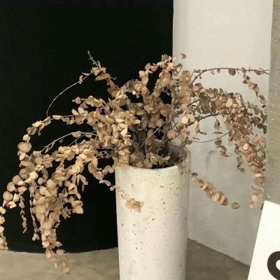 兽设潮流风格设计福瑞交流群